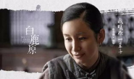 白鹿原电视剧在线观看免费,穿越历史的长河，探寻家族兴衰之谜